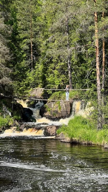 Footbridge above a river surrounded by trees
